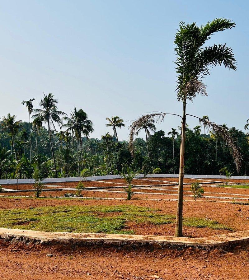 HOUSE PLOTS NEAR KAKKNAD PUKKATTUPADY| FYD 11